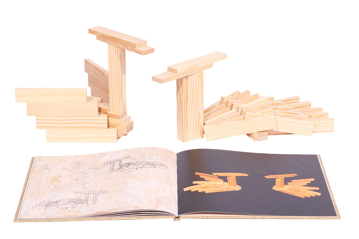 Wooden swan models next to the Kapla easy animals art book on a white background