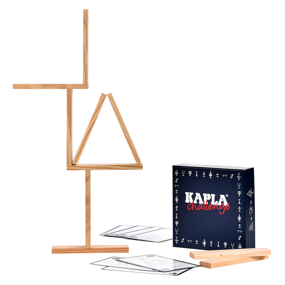 Pieces from the Kapla sustainable wooden building challenge family game spread out on a white background