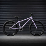 Early Rider Belter 20" Bike - Violet Haze