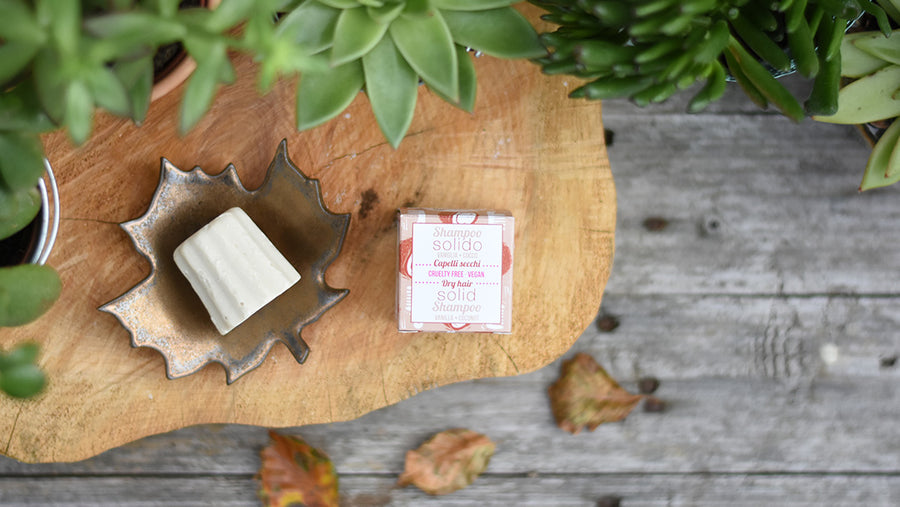 Lamazuna solid shampoo bar on a soap dish, in an autumnal setting