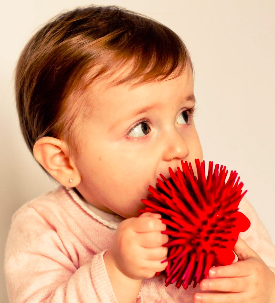 Close up of young child holding the Lanco natural rubber red hedgehog toy to their mouth