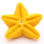 Anneau de dentition Lanco Harley Sea Star