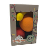 Lanco Toy Food Fruit Set - 5 Pack