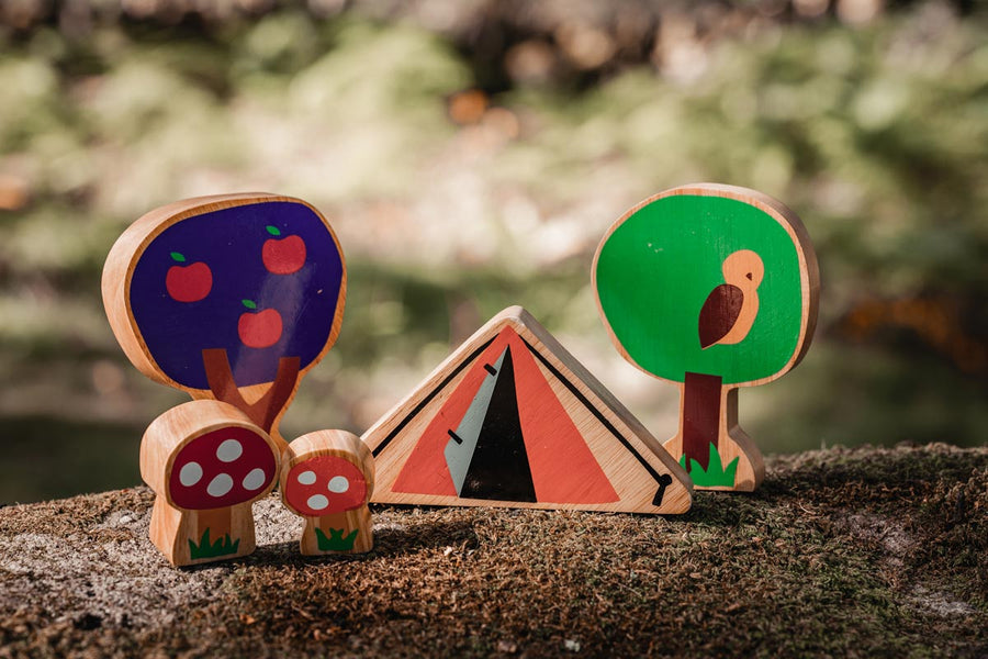 Close up of the Lanka Kade dan y ser toadstools