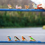 Lanka Kade Wooden Birds lined up in two rows. On the top (left to right) is the pigeon