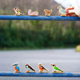 Lanka Kade Wooden Birds lined up in two rows. On the top (left to right) is the pigeon