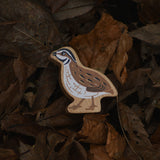 white and black painted feather detail. On a white back ground