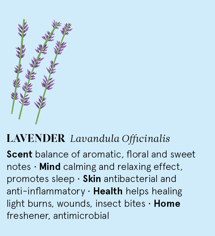 Infographic showing the main benefits of Lavender essential oil.