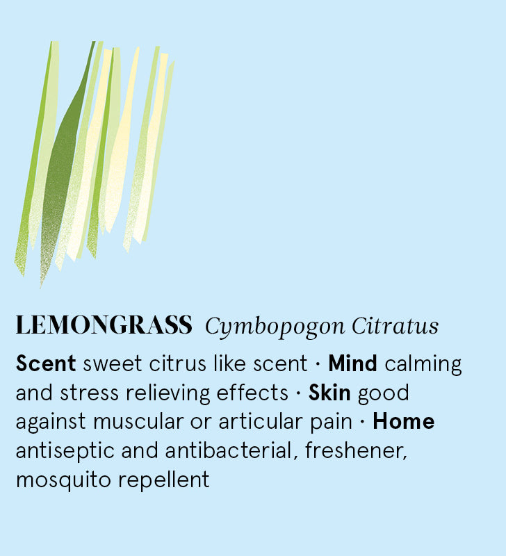 Infographic showing the main benefits of Lemongrass essential oil.