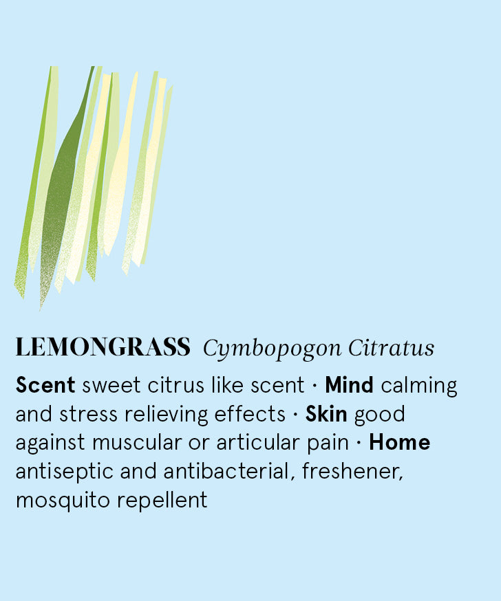 Infographic showing the main benefits of Lemongrass essential oil.