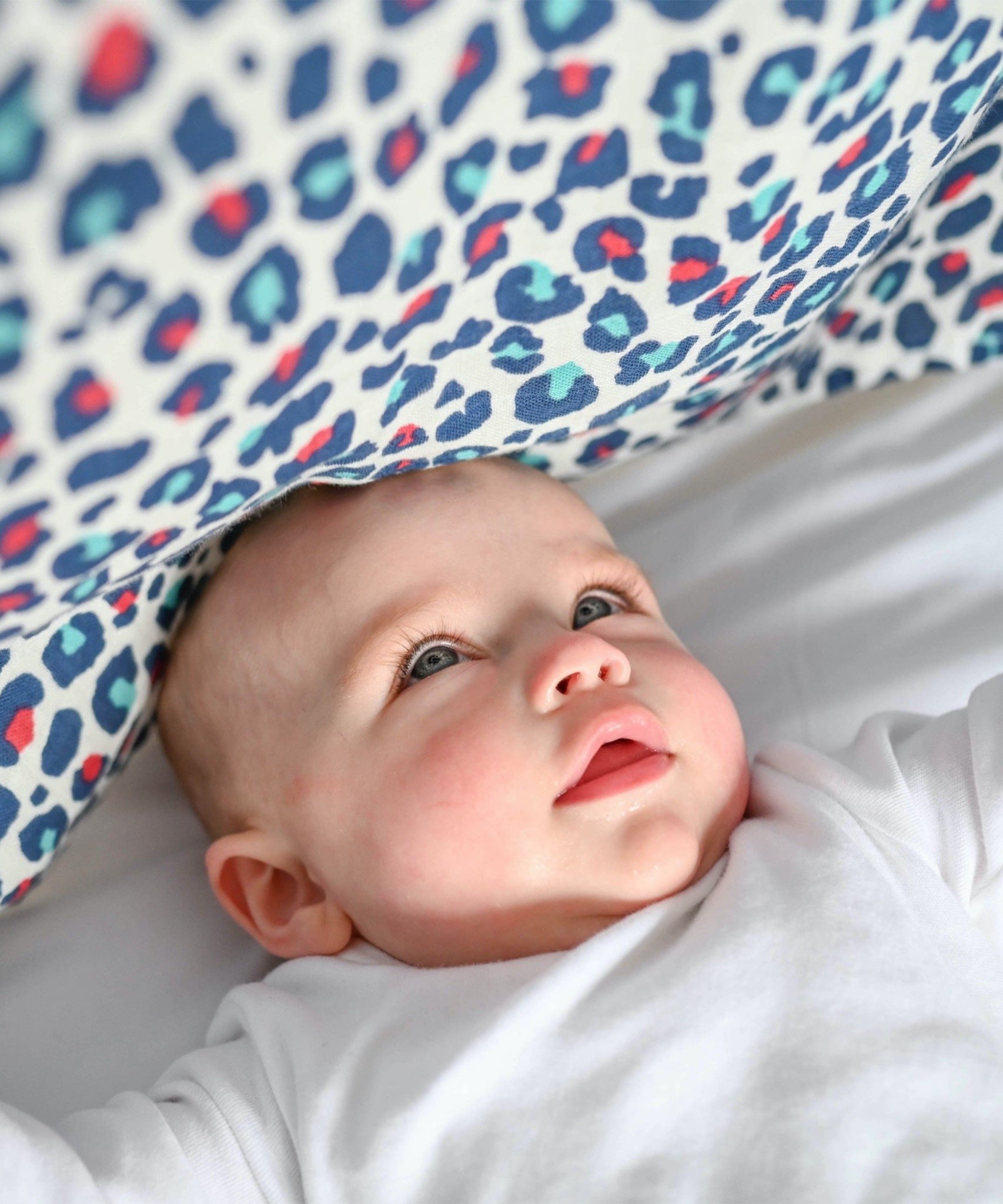 A baby looking up at the Etta Loves Extra Large Organic Cotton Baby Muslin Square - Blue Leopard