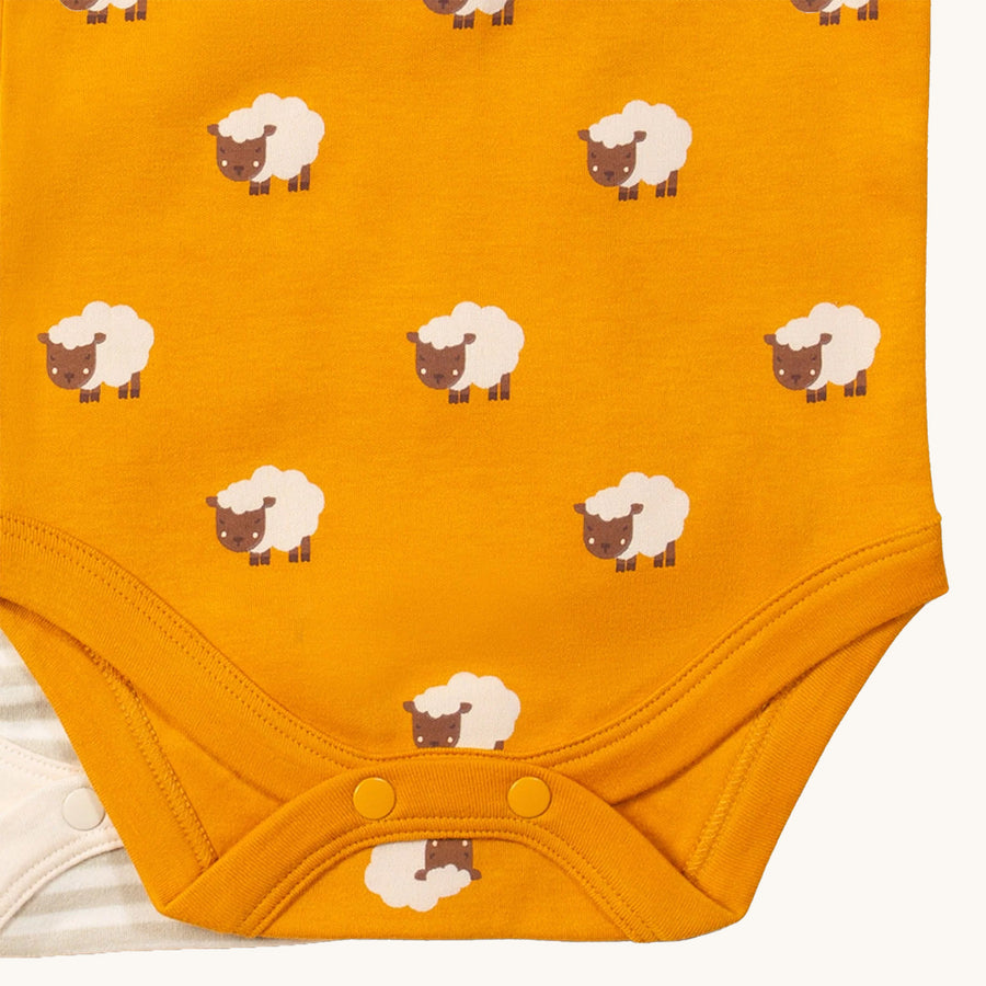 A closer look at the orange with sheep print Little Green Radicals Counting Sheep Organic Baby Body Set - 2 Pack babygrow