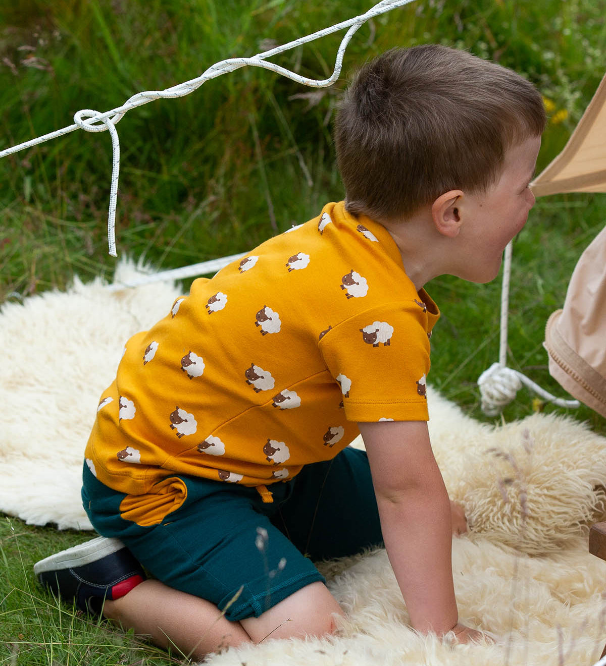  this t-shirt has a fun sheep print on orange fabric