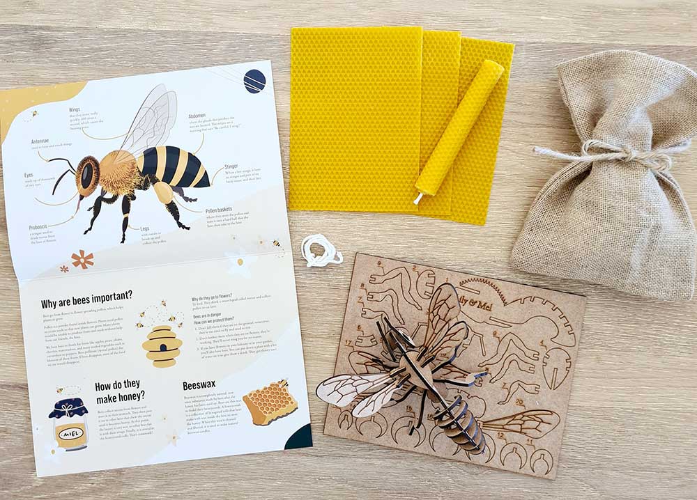 Lily and Mel 3d bee kit with honeycomb wax sheets and anatomical facts on bees