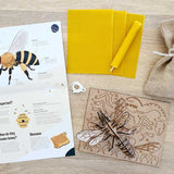 Lily and Mel 3d bee kit with honeycomb wax sheets and anatomical facts on bees