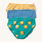 Little Green Radicals Organic Cotton Underwear Briefs Set in a 3 pack. One pair has a little dog print on a green background, one has yellow gold stripes and one is plain blue.