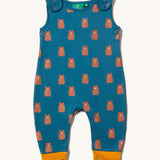 The Little Green Radicals Everyday Dungarees with a Teddy Bears print on a plain background.