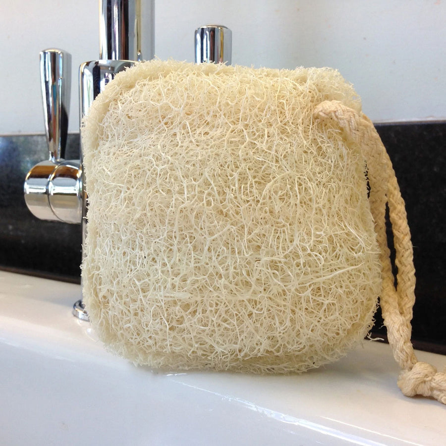 LoofCo Loofah Cleaning Pad pictured on the side of a sink with taps in teh background