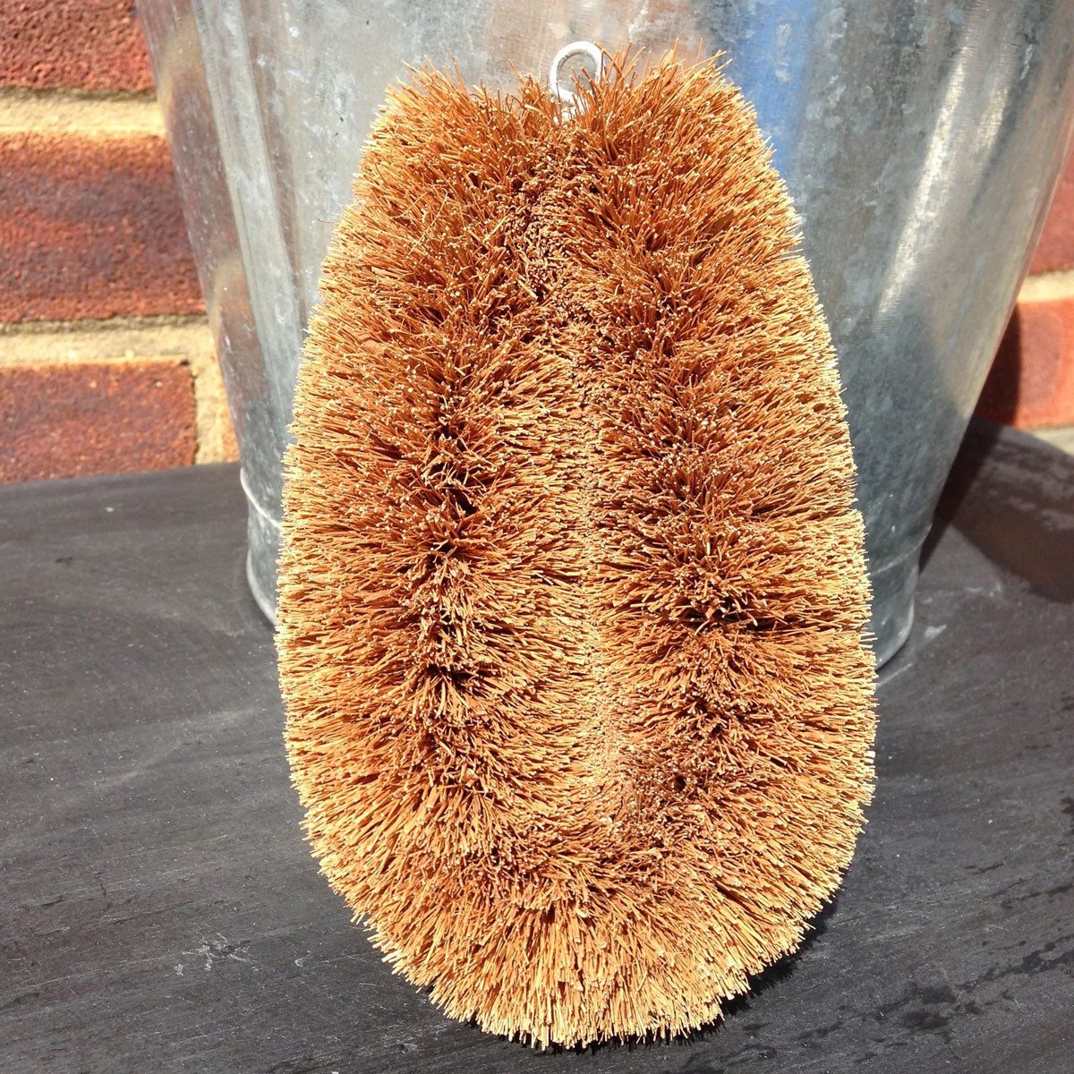 Large LoofCo Scrubbing Brush pictured outdoors in front of a metal bucket