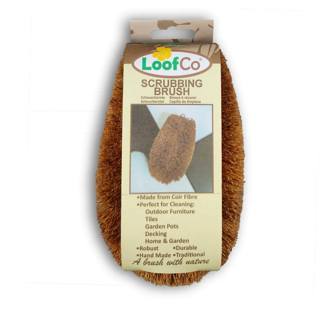 Large LoofCo Scrubbing Brush in cardboard packaging sleeve pictured on a plain white background