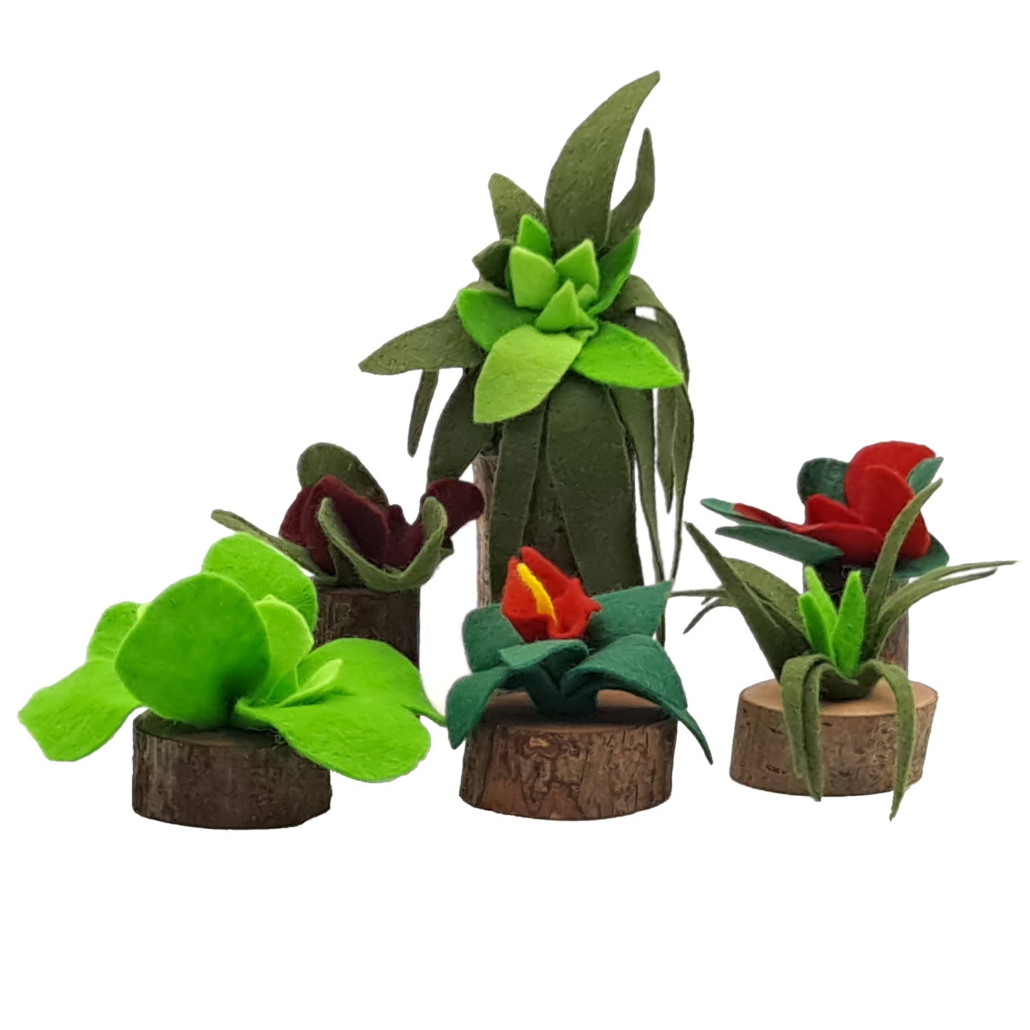 Magic Wood Green Feelings Felt Plant Set pictured on a plain background 