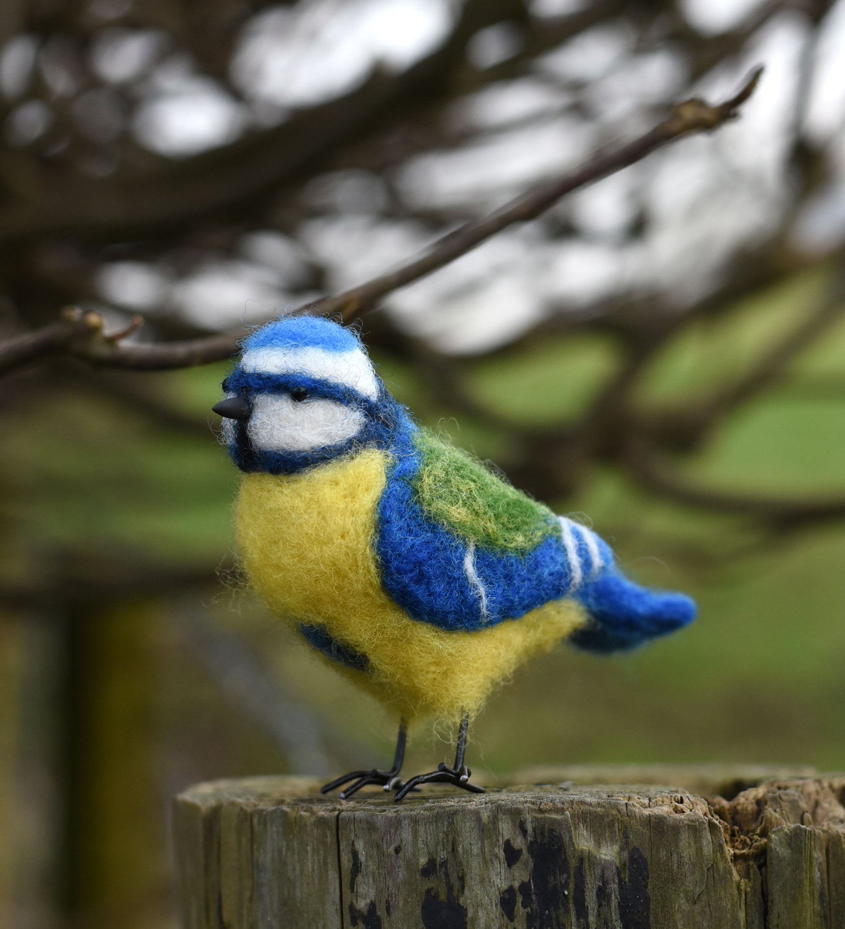 A felted blue tit bird perched on a gate post. The bird as been created using the Makerss - Small Blue Tit Needle Felt Kit