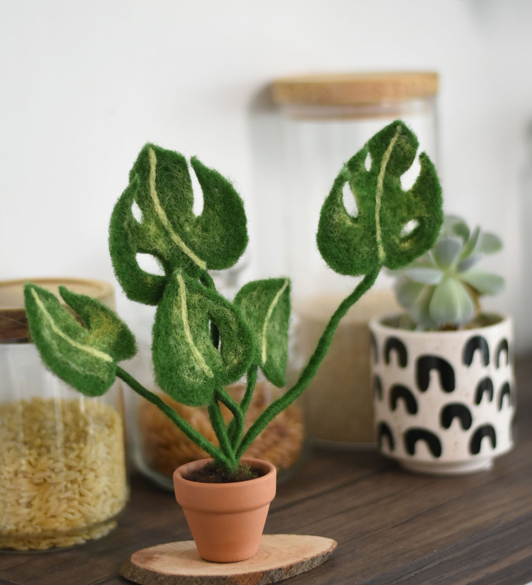 A felted Monstera plant in a min i terracotta pot created using The Makerss Monstera Plant Small Needle Felt Kit