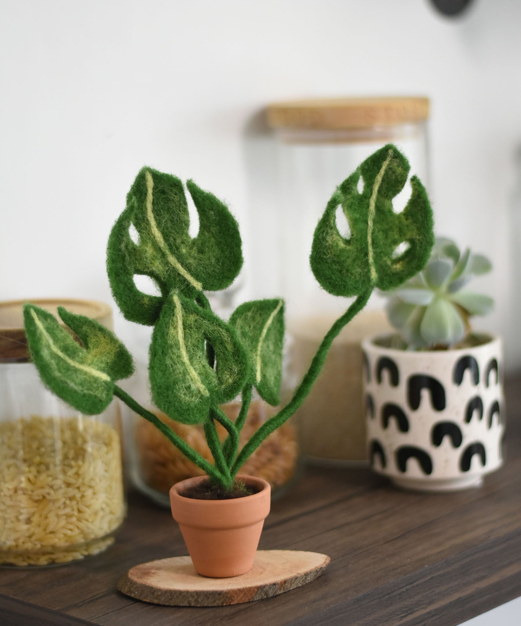 A felted Monstera plant in a min i terracotta pot created using The Makerss Monstera Plant Small Needle Felt Kit