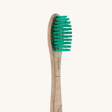 Georganics Beechwood Toothbrush - Medium Bristle