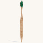 Georganics Beechwood Toothbrush - Medium Bristle