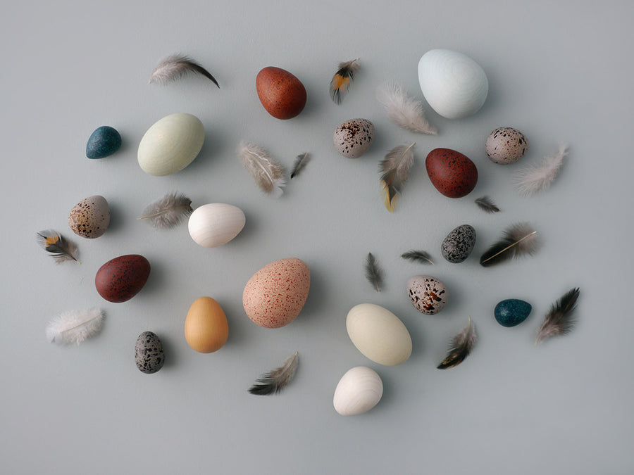 Moon Picnic plastic free wooden egg toys scattered on a grey background next to some small feathers