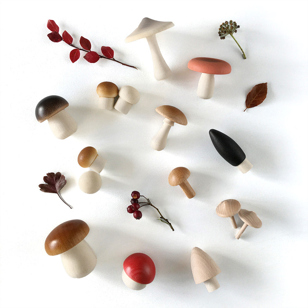 Moon Picnic Forest Mushroom toys laid out on a white background