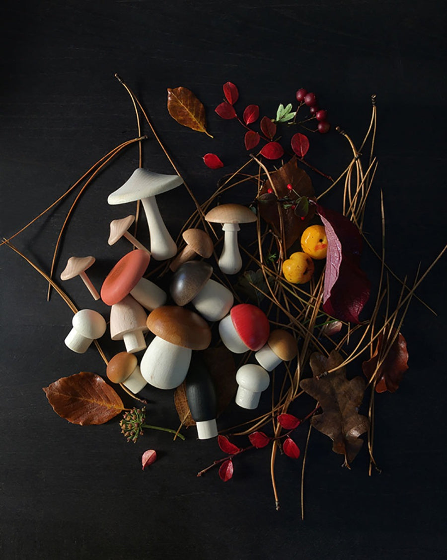 Moon Picnic Mushroom set scattered on a black background next to some autumn leaves