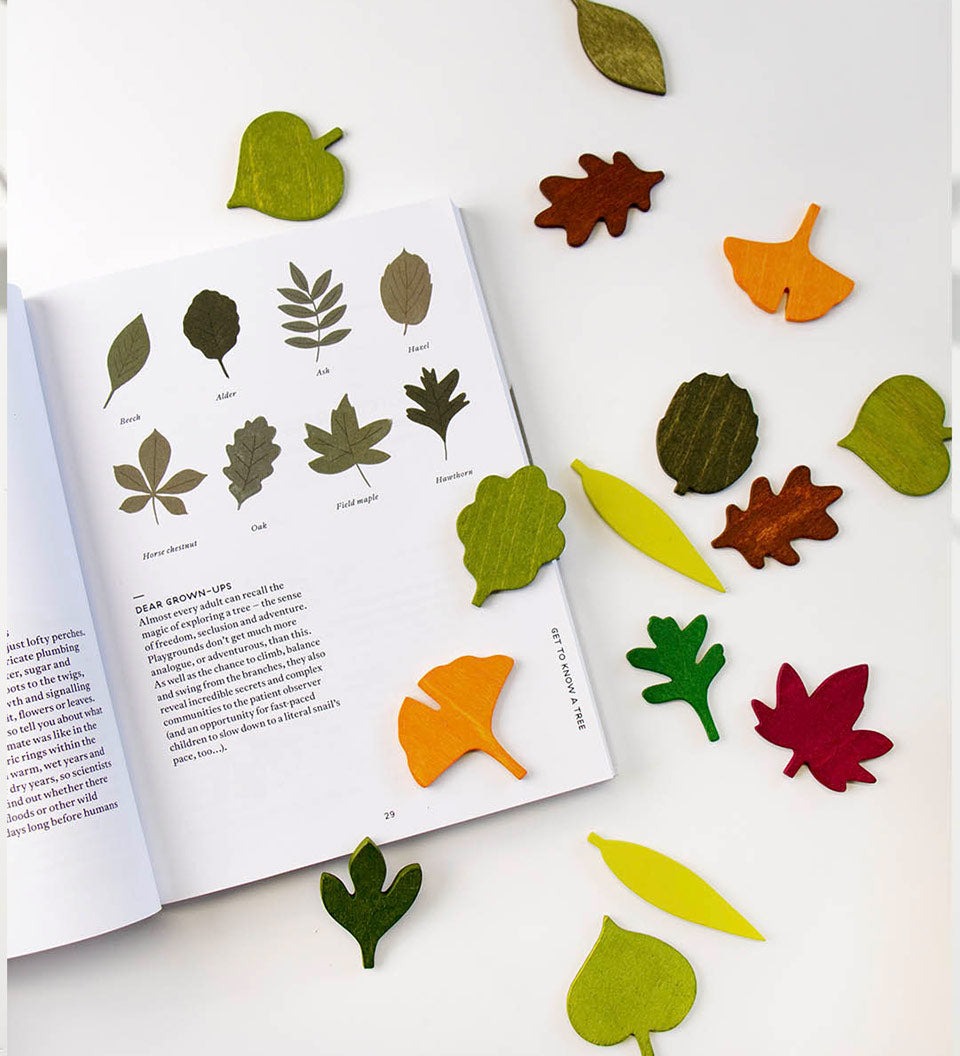 Moon Picnic wooden leaves set on a white background next to a nature book