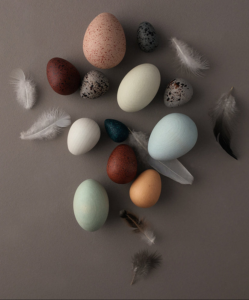 Erzi wooden birds egg toy set on a grey background