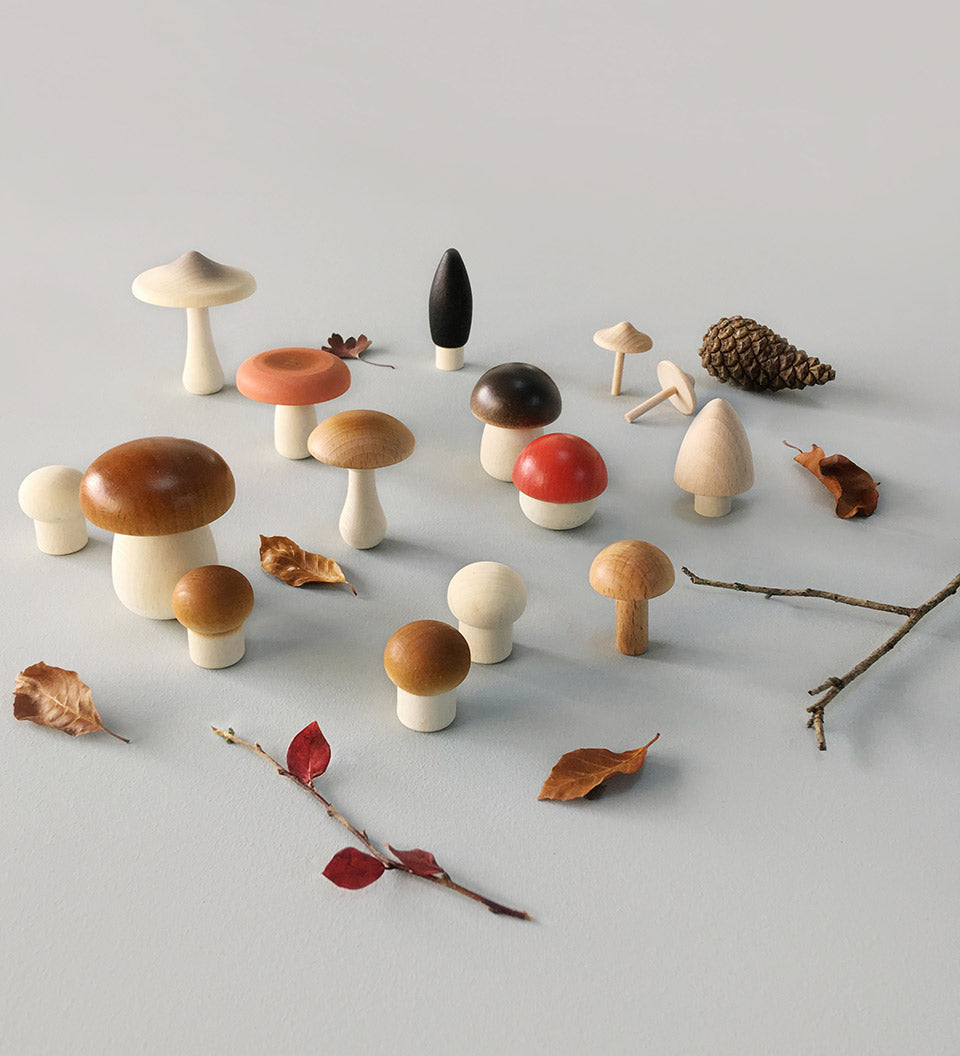 Moon Picnic plastic free wooden mushrooms laid out on a grey background next to some small branches and leaves