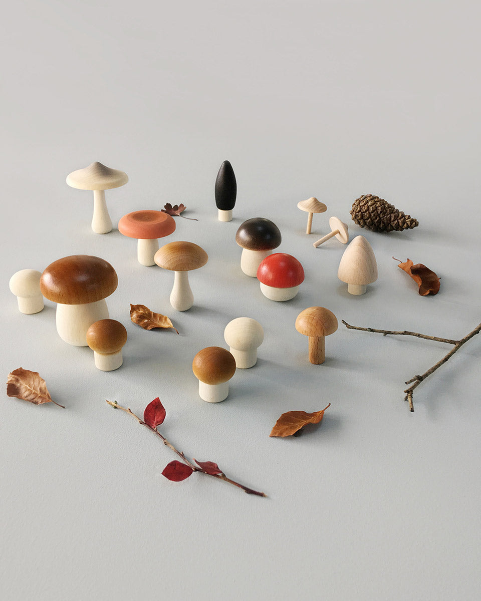 Moon Picnic plastic free wooden mushrooms laid out on a grey background next to some small branches and leaves