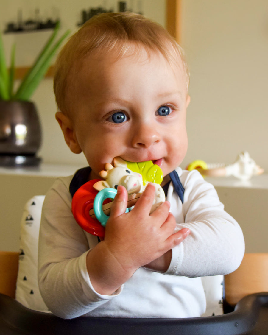 A closer look at the Sophie The Giraffe - Nature Chew Rattle