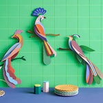 Studio Roof Paradise Bird Cardboard Model - Nusa