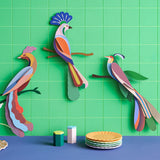 Studio Roof Paradise Bird Cardboard Model - Nusa