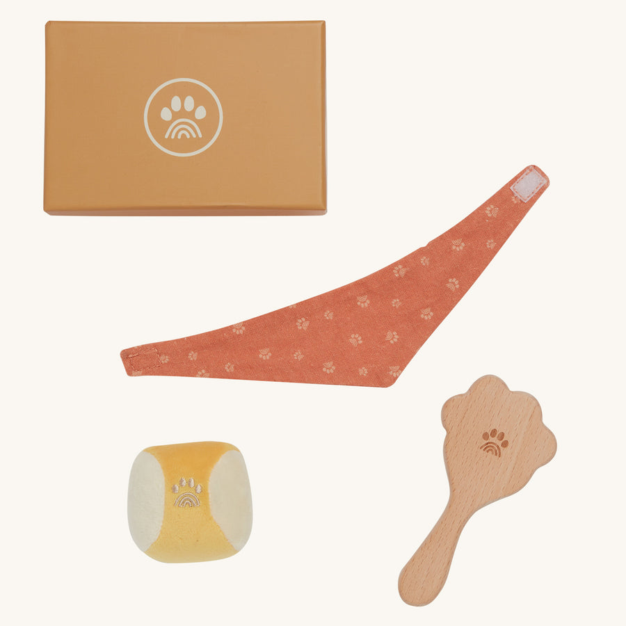 The Olli Ella Dinkum Dog Starter Set contains an orange dog bandanna with a paw print pattern