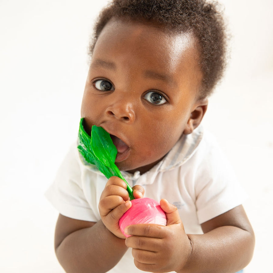 with its green veined leaves and its juicy round pink root. Made from 100% natural rubber. White background.