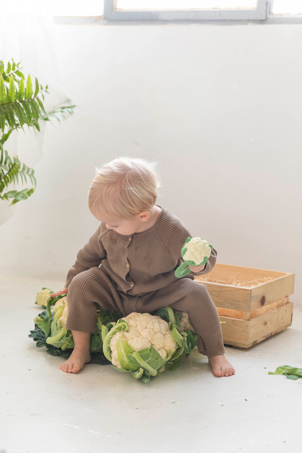 A child sitting down holding an Oli & Carol Cauliflower Rattle Teether with real cauliflowers in front of them