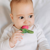 Oli & Carol Chewy-to-Go - Ramonita the Radish