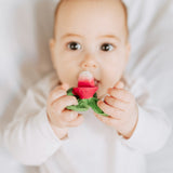 Oli & Carol Chewy-to-Go - Ramonita the Radish