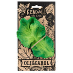 Oli & Carol Fruit and Veggies - Kendall The Kale