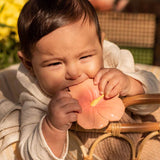 A baby holding and chewing on the Oli & Carol Iris The Hibiscus Baby Teether