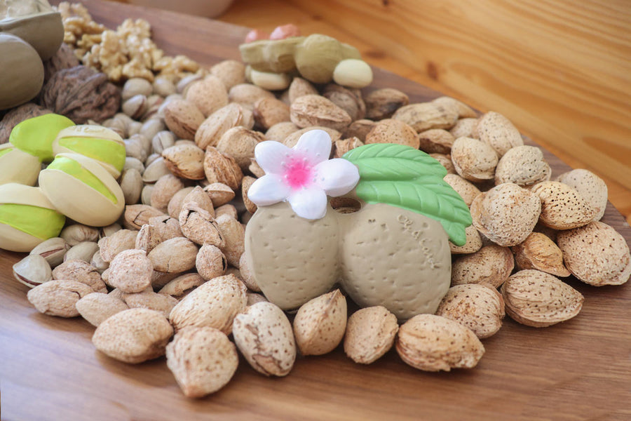 Close up of the oli and carol plastic free rubber almond food toy on a wooden table next to a pile of almonds