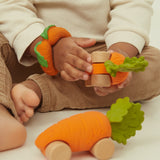 Oli & Carol Cathy The Carrot Car