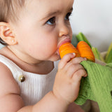 Oli & Carol Cathy the Carrot Mini Doudou Baby Teether